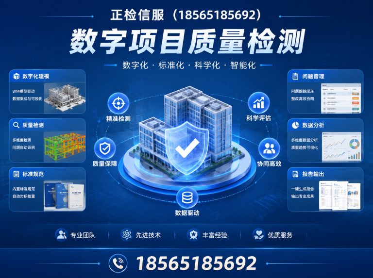 广东数字项目质量检测展示图